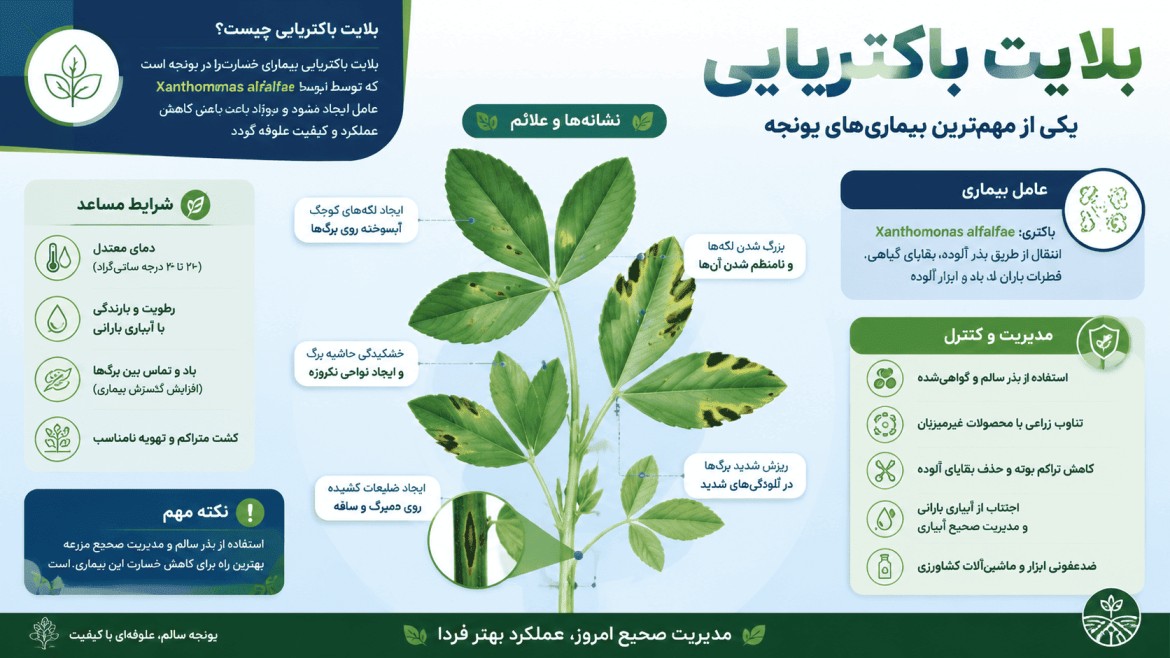 برگ سوزی یونجه برگ سوزی یونجه
