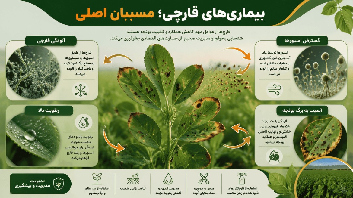 برگ سوزی یونجه برگ سوزی یونجه