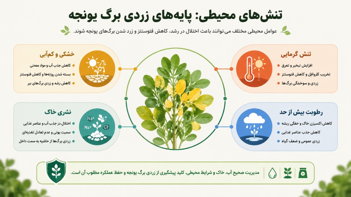 علت زرد شدن برگ یونجه