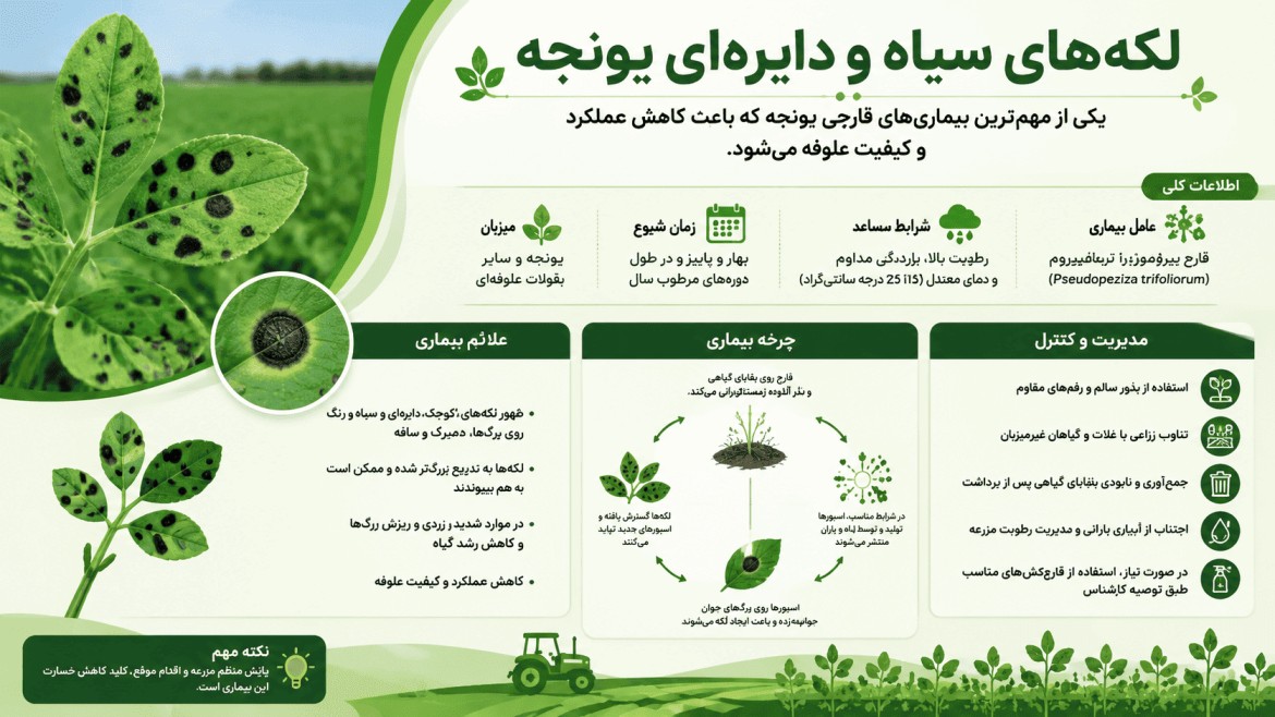 برگ سوزی یونجه برگ سوزی یونجه
