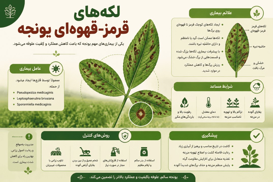 برگ سوزی یونجه برگ سوزی یونجه