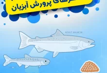 آب مغناطیسی بهینه سازی تولید در استخرهای پرورش آبزیان