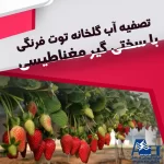 تصفیه آب گلخانه توت فرنگی توسط سختی گیر مغناطیسی و آب مغناطیسی