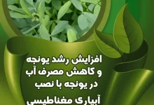 اثرات مثبت سختی گیر مغناطیسی روی بالابردن سود دهی کاشت یونجه اثرات مثبت سختی گیر مغناطیسی روی یونجه