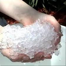 کشت نهال و سوپرجاذب